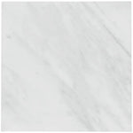 Sample of 24 X 24 Oriental White / Asian Statuary Marble Polished Tile-Sample-American Tile Depot