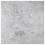 Sample of 24 X 24 Tundra Gray (Atlantic Gray) Marble Polished Tile-Sample-American Tile Depot