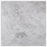 24 X 24 Tundra Gray (Atlantic Gray) Marble Polished Tile