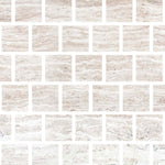 3 X 3 Haisa Light (White Wood / White Oak) Limestone Honed Tile-Limestone Tile-American Tile Depot