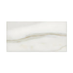 3 X 6 Calacatta Gold Marble Honed Subway Brick Field Tile-Marble Tile-American Tile Depot