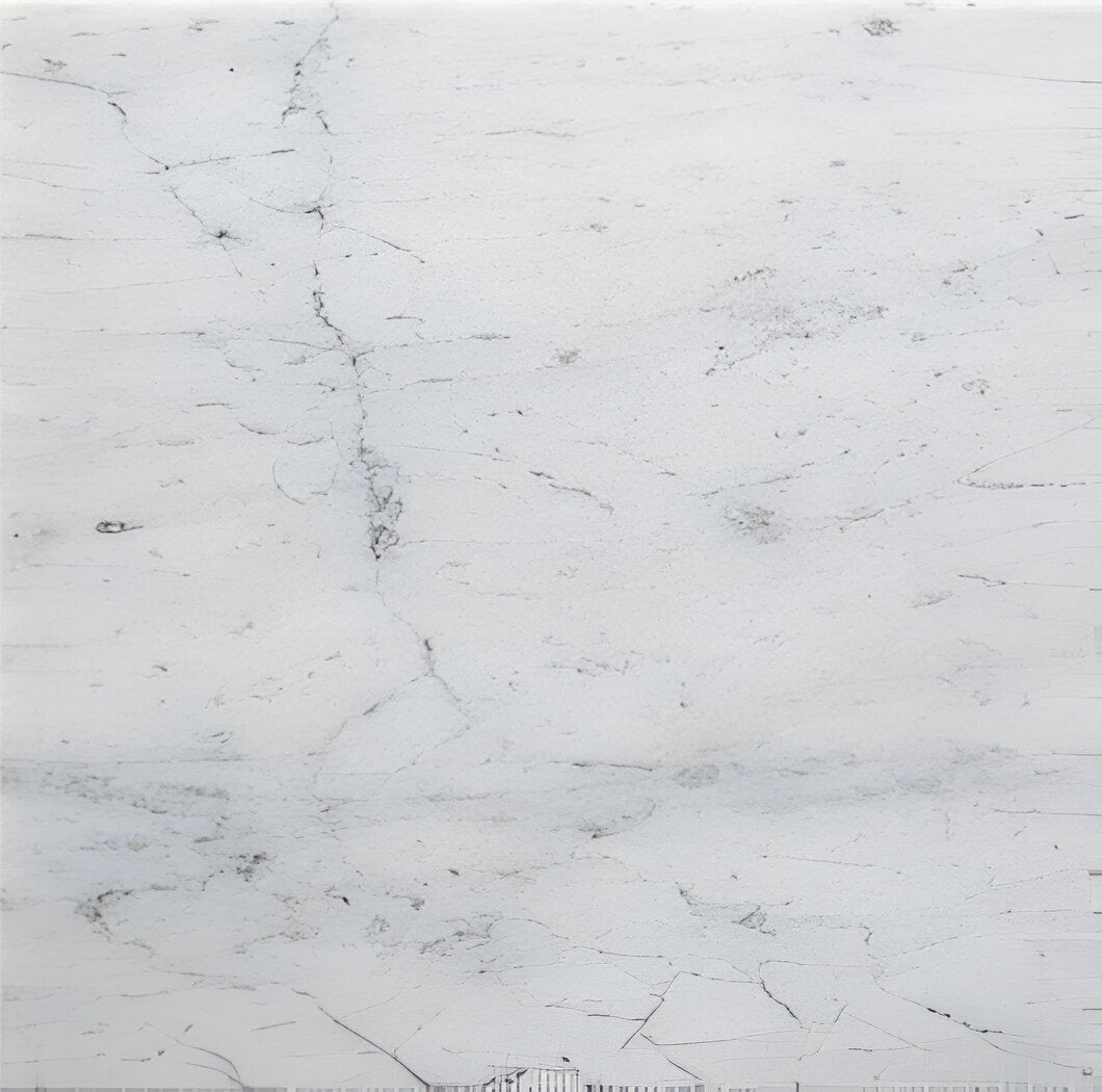 4 X 4 Carrara White Marble Honed Field Tile-Marble Tile-American Tile Depot