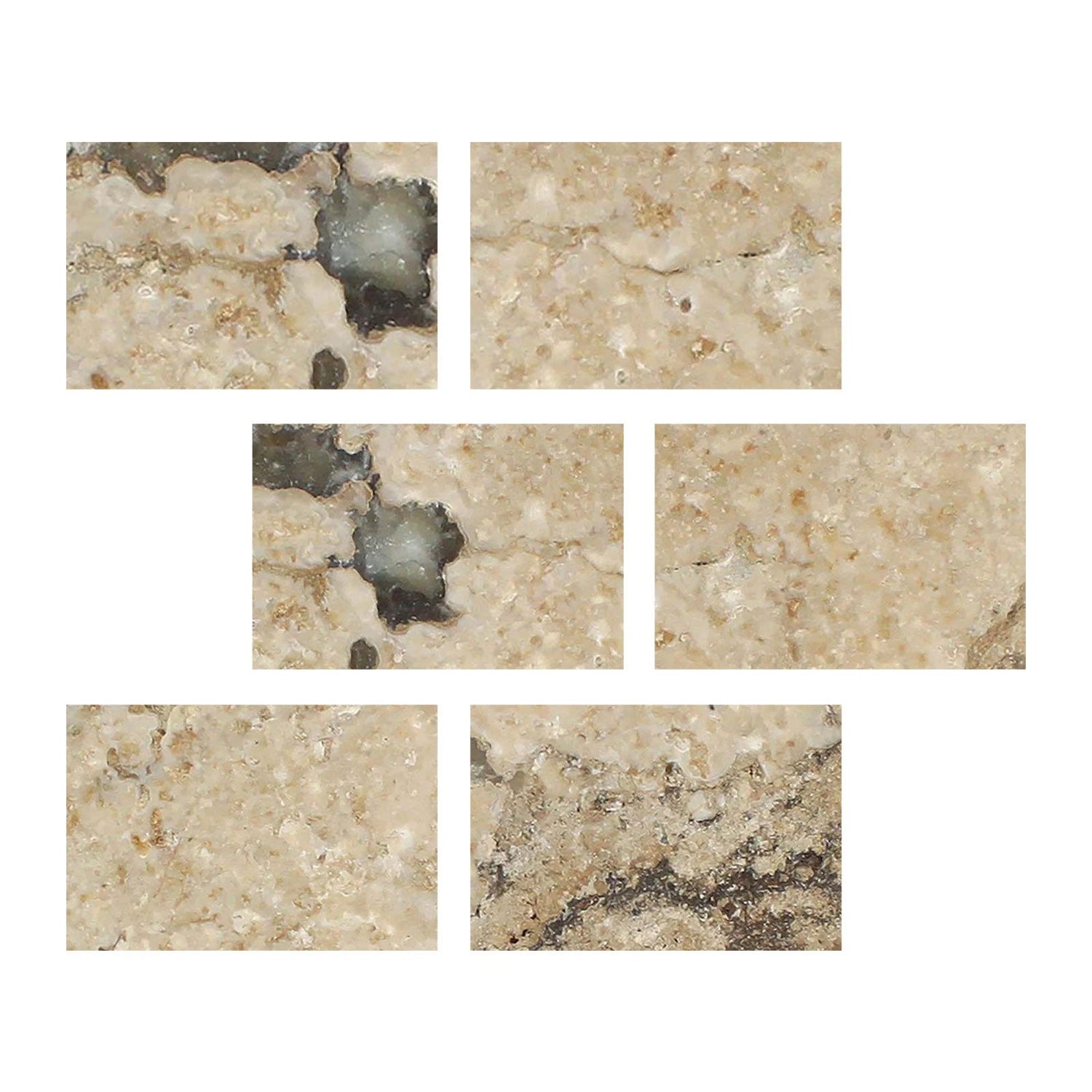 4 X 6 Philadelphia Travertine Filled & Honed Tile-Travertine Tile-American Tile Depot