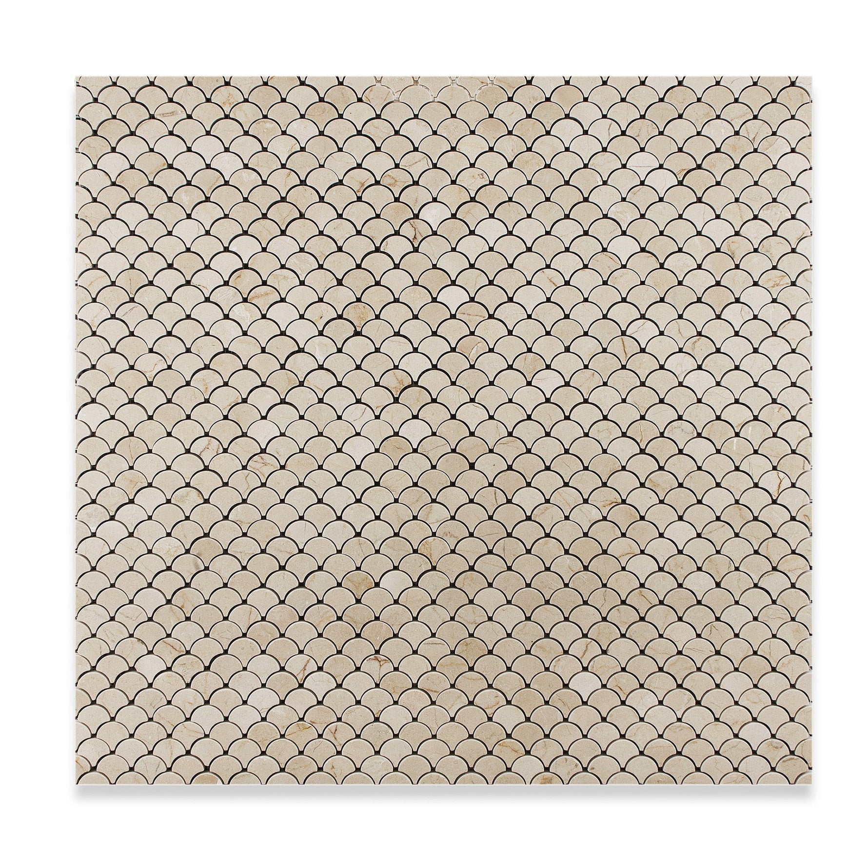 Crema Marfil Marble Honed Fan Mosaic Tile