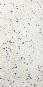 6 X 12 Terrazzo Blue Marble Polished Field Tile-Marble Tile-American Tile Depot