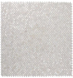 Perry White Scale Pearl Mosaic Wall Tile