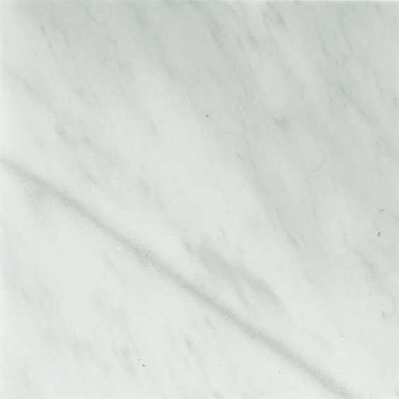 12 X 12 Bianco Venatino (Bianco Mare) Marble Polished Field Tile-Marble Tile-American Tile Depot