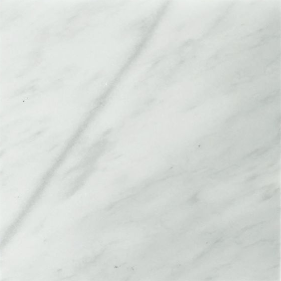 12 X 12 Bianco Venatino (Bianco Mare) Marble Polished Field Tile-Marble Tile-American Tile Depot