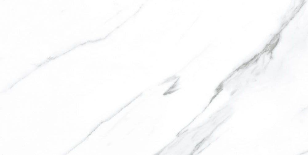 12 X 24 AGL Carrara Marble Look Matte Porcelain Tile-PORCELAIN-Large Format-American Tile Depot