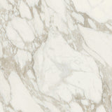 Sample of 32 X 32 Bianchi Calacatta Nat Matte Marble Look Porcelain Tile-Sample-American Tile Depot