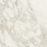 Sample of 32 X 32 Bianchi Calacatta Nat Matte Marble Look Porcelain Tile-Sample-American Tile Depot