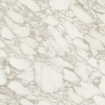 Sample of 32 X 32 Bianchi Calacatta Nat Matte Marble Look Porcelain Tile-Sample-American Tile Depot