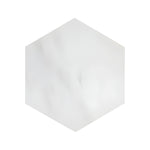 Bianco Dolomite Polished 10" Hexagon Marble Tile-Marble Tile-American Tile Depot