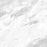 24 X 24 Bianco Carrara Polished Marble Look Porcelain Tile