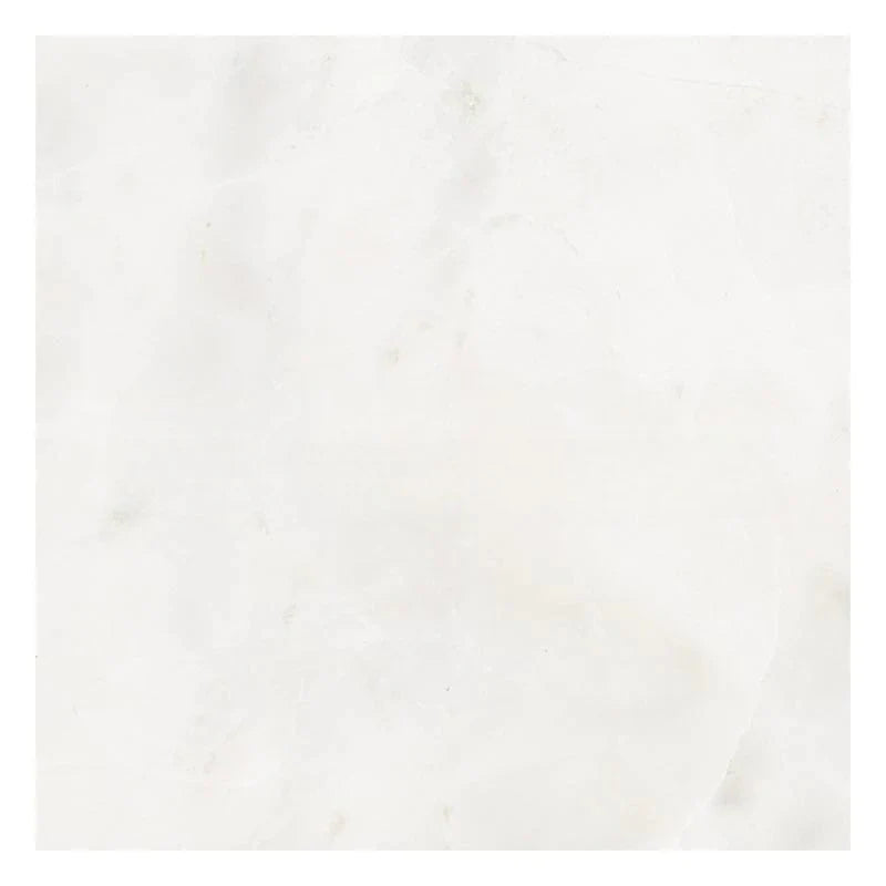 12 X 12 Bianco Congelato Dolomite Leathered Tile