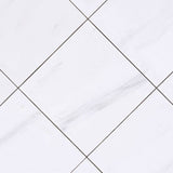 12 X 12 Bianco Dolomite Honed Marble Field Tile