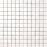 2 X 2 Bianco Dolomite Honed Marble Tile