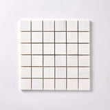 2 X 2 Bianco Dolomite Honed Marble Tile