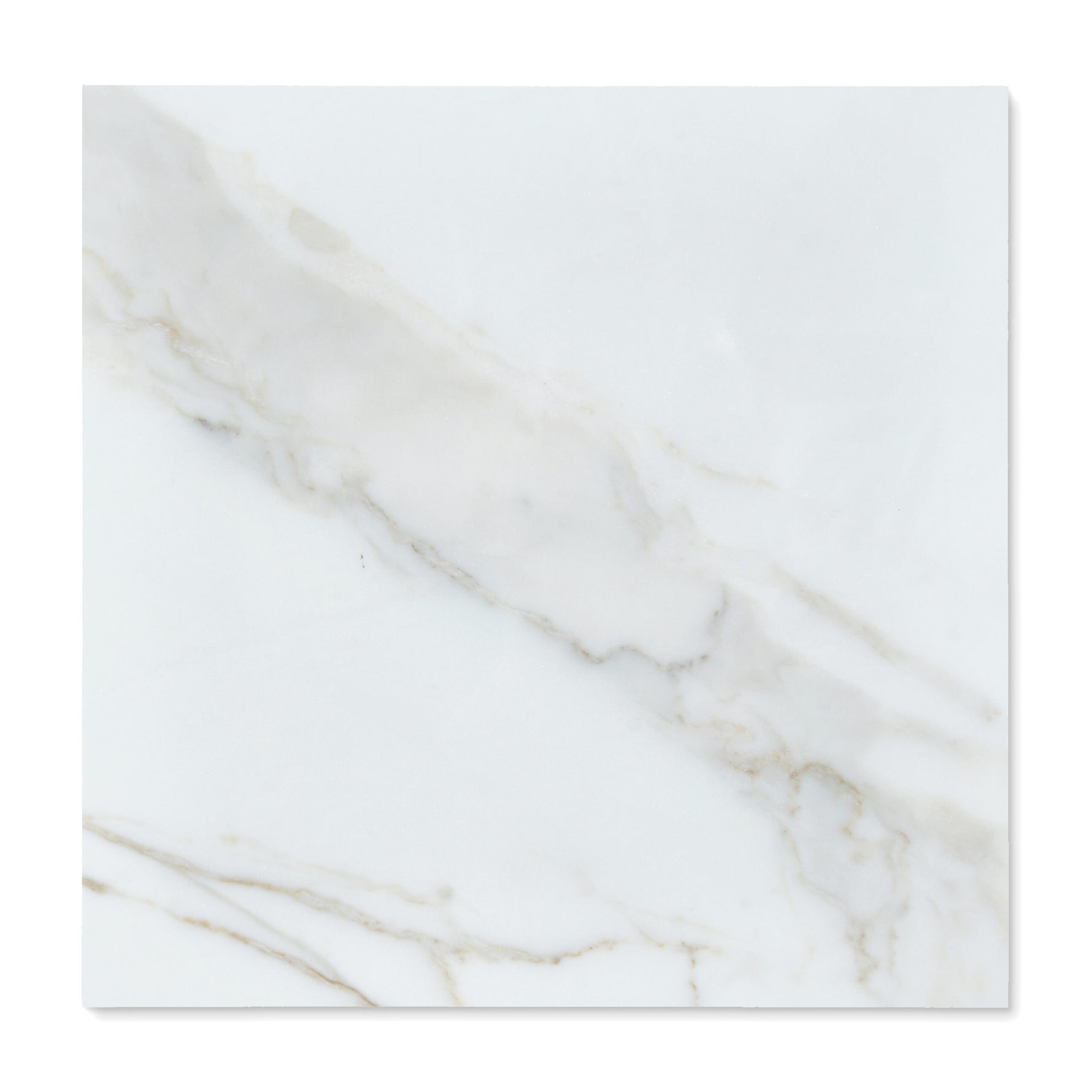 24 X 24 Calacatta Gold Honed Tile-Marble Tile - Large Formate-American Tile Depot