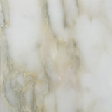 12 X 12 Calacatta Oliva Marble Polished Field Tile