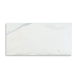 12 X 24 Calacatta Oliva Marble Honed Tile