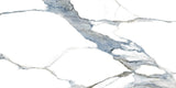 24 X 48 Calacatta Fantasy Acqua Polished Marble Look Porcelain Tile