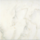 12 X 12 Calacatta Oliva Marble Polished Field Tile