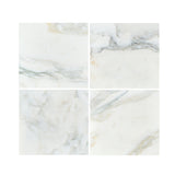 12 X 12 Calacatta Oliva Marble Honed Field Tile