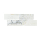 6 X 12 Calacatta Oliva Marble Polished Field Tile