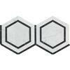 Carrara White Marble Polished 5" Hexagon Combination Mosaic Tile w / Black-Marble Mosaic-American Tile Depot