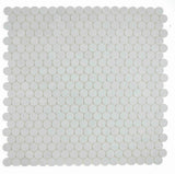 Sample of 2 x 2 Curvus Dolomite Large Honed Circular Marble Mosaic Tile-Sample-American Tile Depot