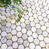 Curvus Calacatta Honed Circular Marble Mosaic Tile-Marble Mosaic-American Tile Depot