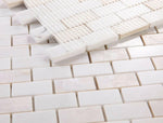 Diana Brick Thassos Mosaic Wall Tile-Mixed Mosaic-American Tile Depot