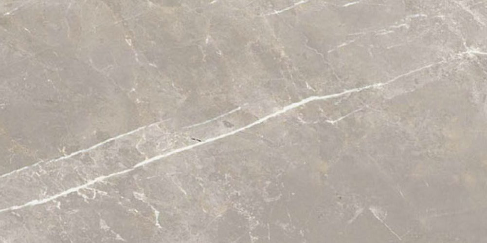 24 X 48 Dolomia Grey Nat Matte Marble Look Porcelain Tile-PORCELAIN-Large Format-American Tile Depot