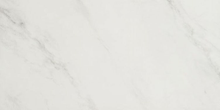 24 X 48 EC Snow Matte Marble Look Porcelain Tile-PORCELAIN-Large Format-American Tile Depot