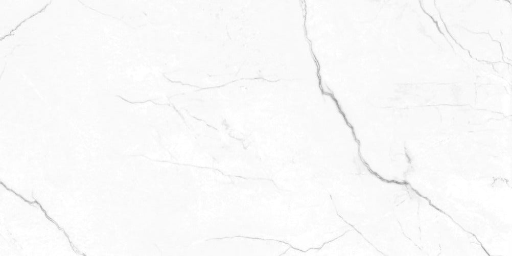 24 X 48 EC Elegance White Matte Marble Look Porcelain Tile-PORCELAIN-Large Format-American Tile Depot