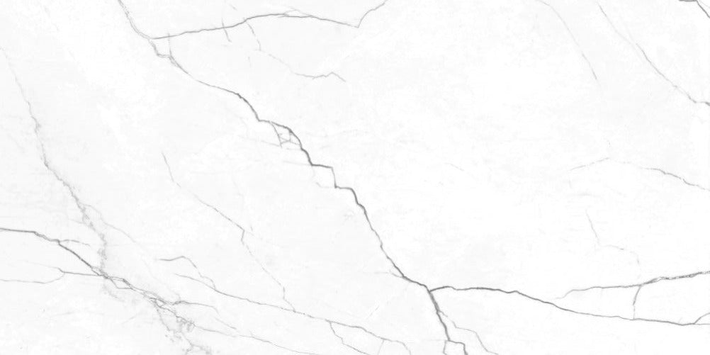 24 X 48 EC Elegance White Matte Marble Look Porcelain Tile-PORCELAIN-Large Format-American Tile Depot