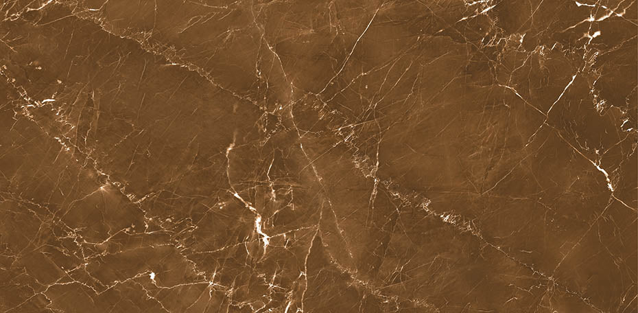 Sample of 24 X 48 Grigio Brown Polished Marble Look Porcelain Tile-Sample-American Tile Depot