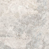 24 X 24 Lizard Grey Polished Marble Look Porcelain Tile