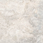 Sample of 24 X 24 Lizard Grey Polished Marble Look Porcelain Tile-Sample-American Tile Depot