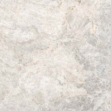 Sample of 24 X 24 Lizard Grey Polished Marble Look Porcelain Tile-Sample-American Tile Depot