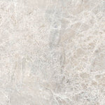 Sample of 24 X 24 Lizard Grey Polished Marble Look Porcelain Tile-Sample-American Tile Depot