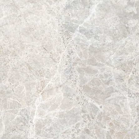 Sample of 24 X 24 Lizard Grey Polished Marble Look Porcelain Tile-Sample-American Tile Depot