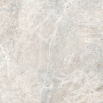 Sample of 24 X 24 Lizard Grey Polished Marble Look Porcelain Tile-Sample-American Tile Depot