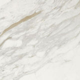 24 X 24 Marmi Macchiavecchia Levigato Polished Marble Look Porcelain Tile