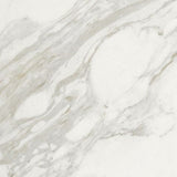 24 X 24 Marmi Macchiavecchia Levigato Polished Marble Look Porcelain Tile