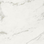 24 X 24 Marmi Macchiavecchia Levigato Polished Marble Look Porcelain Tile-PORCELAIN-Large Format-American Tile Depot