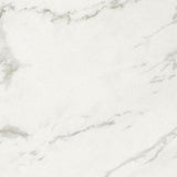 24 X 24 Marmi Macchiavecchia Levigato Polished Marble Look Porcelain Tile