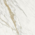 Calacatta Polished 12x24