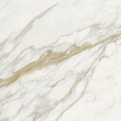 24 X 24 Marmi Macchiavecchia Levigato Polished Marble Look Porcelain Tile-PORCELAIN-Large Format-American Tile Depot